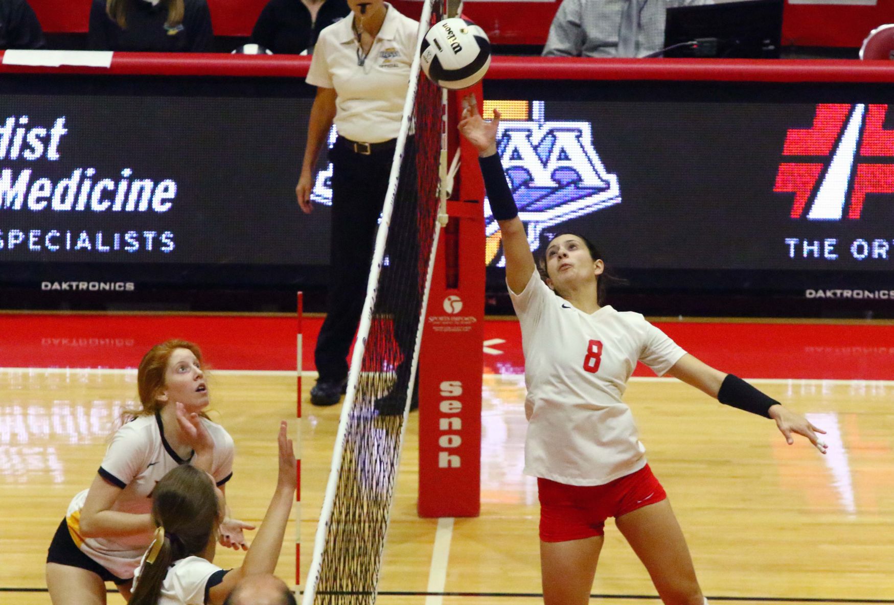 Volleyball Class 4A State Finals - Crown Point vs. Avon